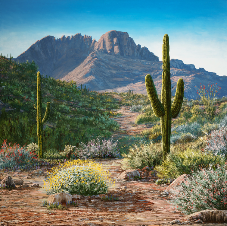 Dusty Kinman Canvas Prints — Limited Editions of 50
