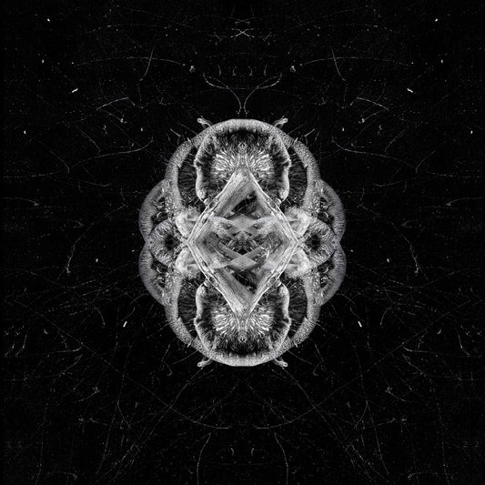 Cosmic Shroom