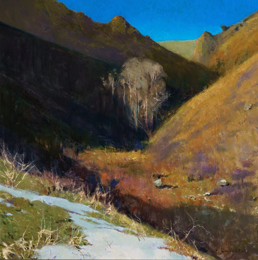 Cottonwood Coulee