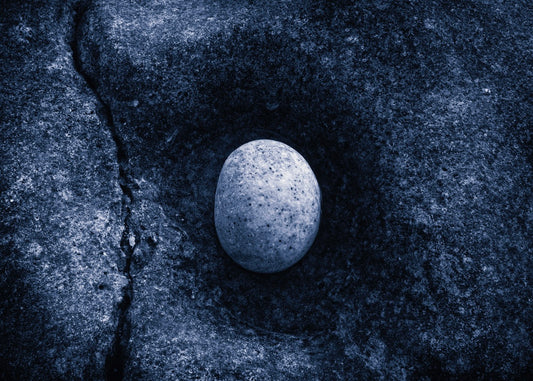 Crack In The Universe