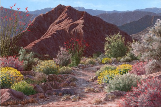 Desert Valley Pathway