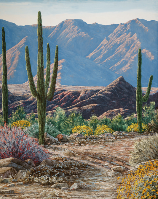 Southwest Floral Wash