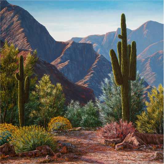 Arizona Splendor