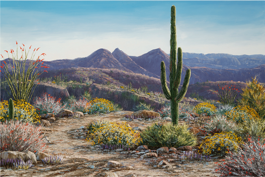 High Desert Pathway