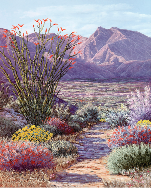 Borrego Valley Springtime