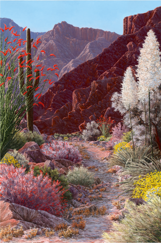 Springtime in the Desert Sun