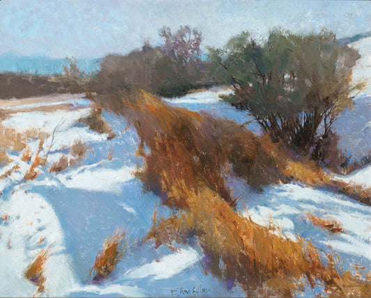 Snow Banks and Buckbrush