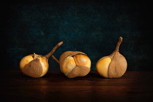 Three Buckeyes