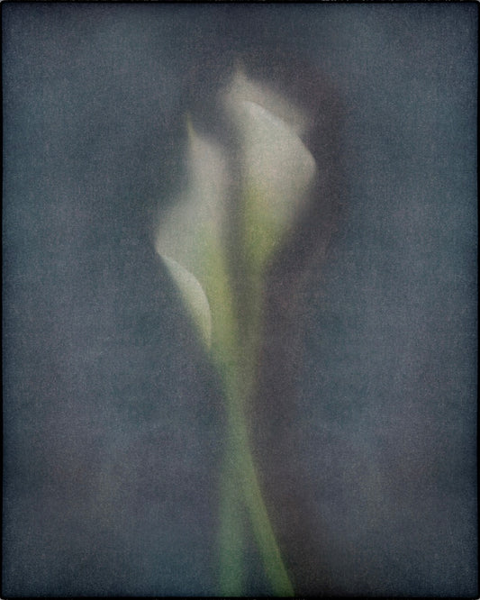 Veiled Callas