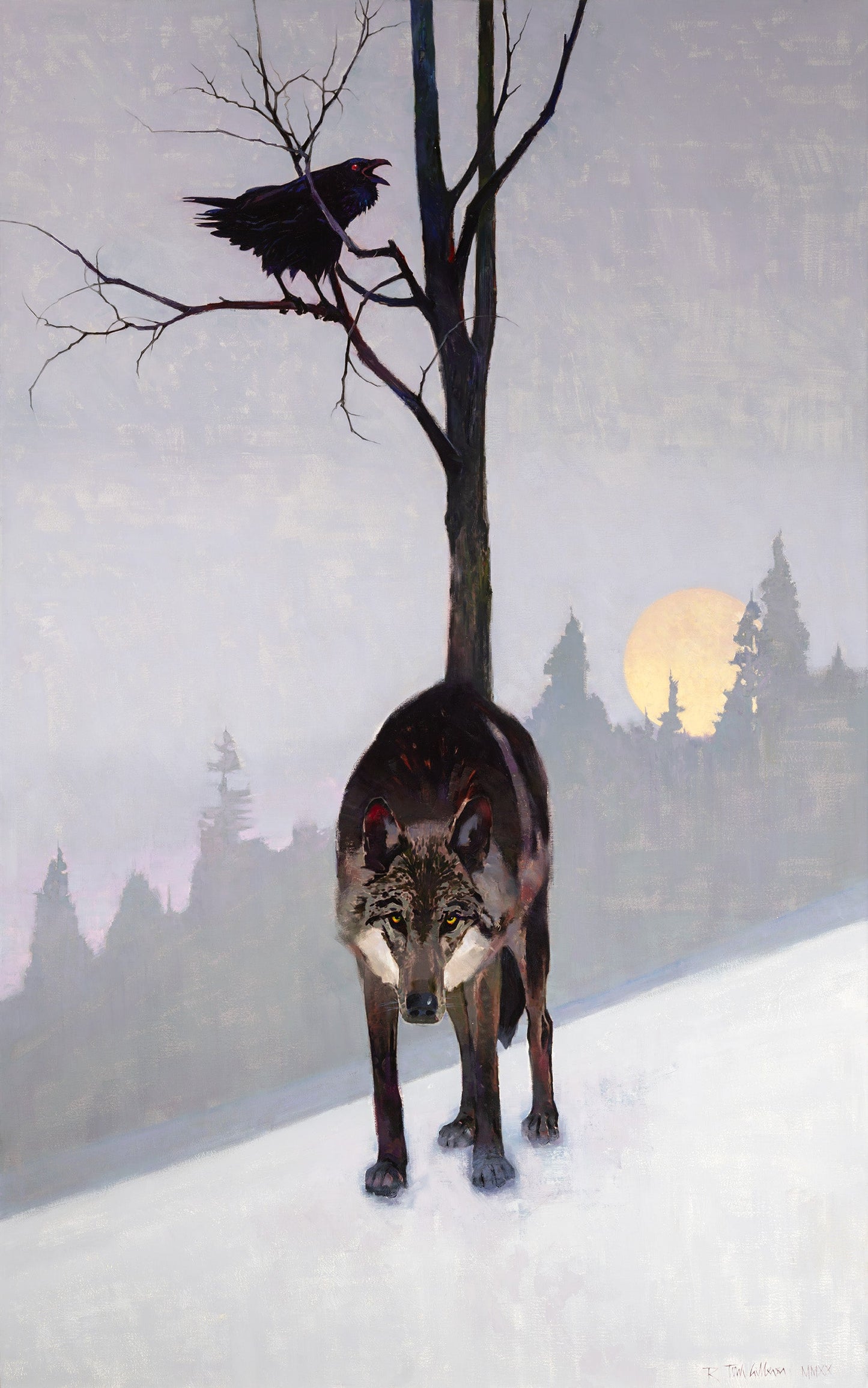 Black Wolf